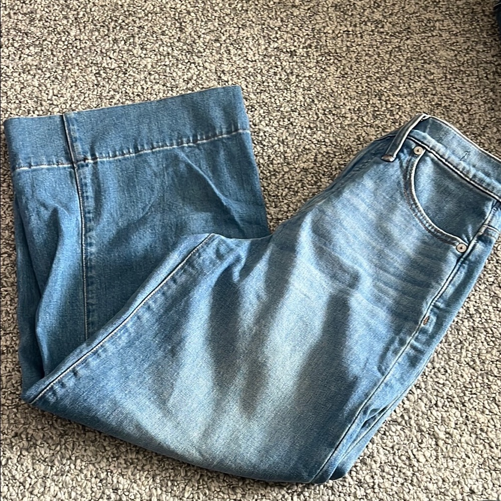 Madewell Women's crop Wide Leg Jeans